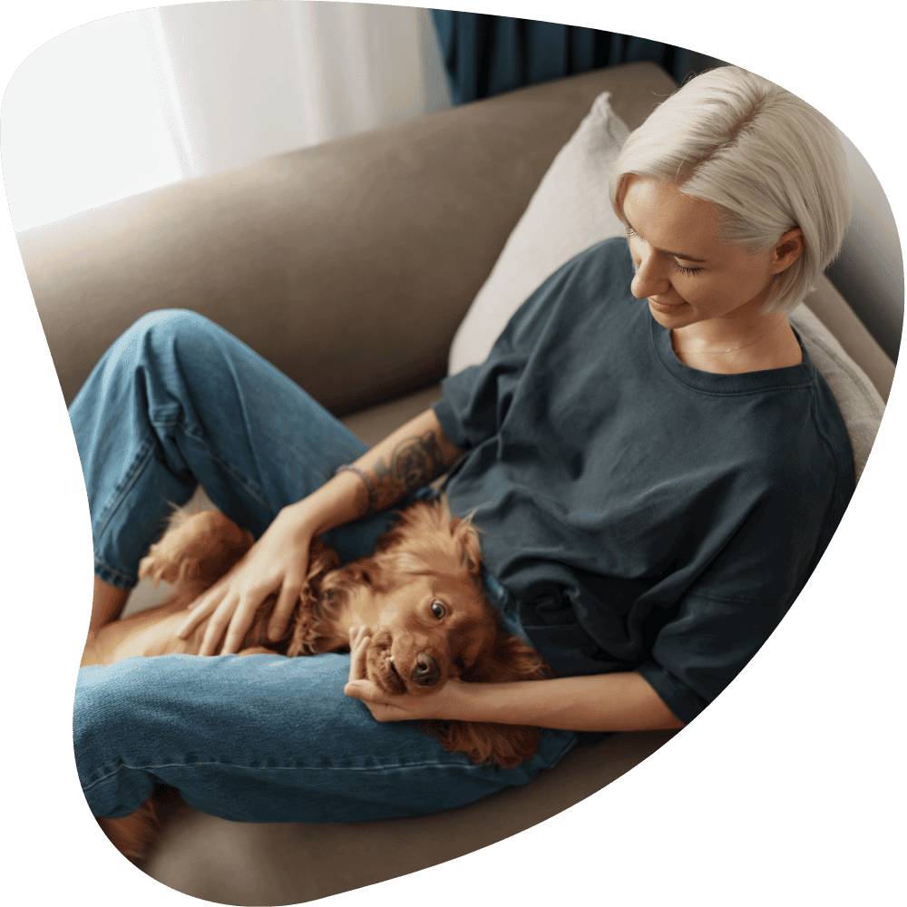 24 hour staycation puppy love pet sitting company owner
